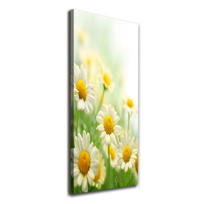 Daisies - Wrapped Canvas Print