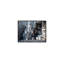 Stone Reverie-819803562