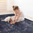 Area Rug, Machine Washable, Non-slip, Non-shedding - Create A Comfortable Space In Bedroom, Living Room, Kitchen, Dining Room Low-pile Decorate Your-1373871034