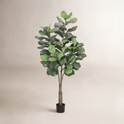 96" Fiddle Leaf Fig Tree in Pot