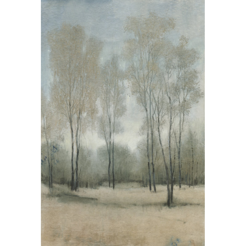 Tamasine A Woodland Walk I by Tim OToole - Wrapped Canvas Print, 122 cm H x 81 cm W