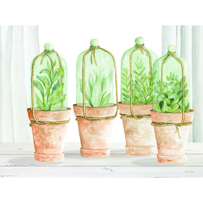 " Herb Collection "