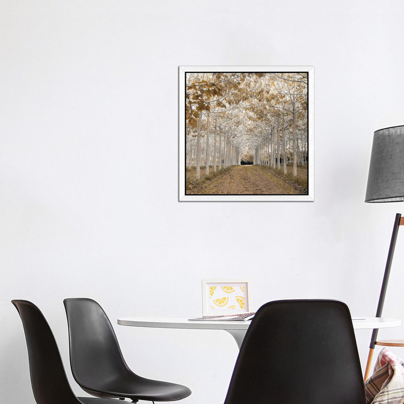 Print, 45.72 cm H x 45.72 cm W, White Framed