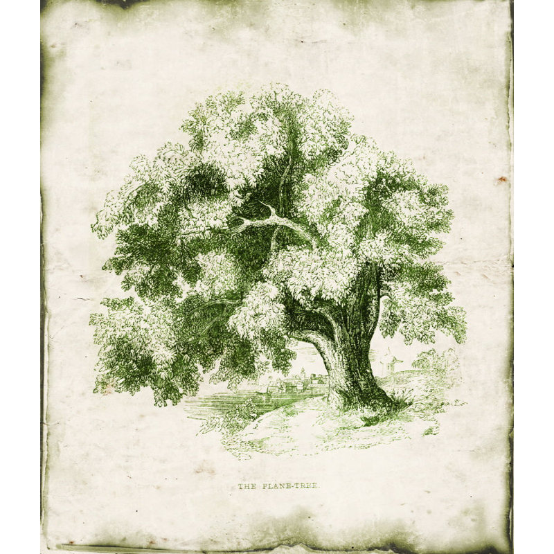 «Evergreen II» par Zoey Riley - Peinture, H 29 po x l 24 po x P 1,5 po, Extérieur
