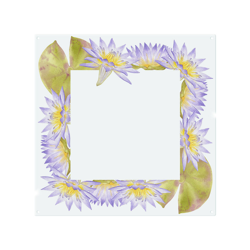 Flowers Splash Back