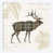 Toile tendue