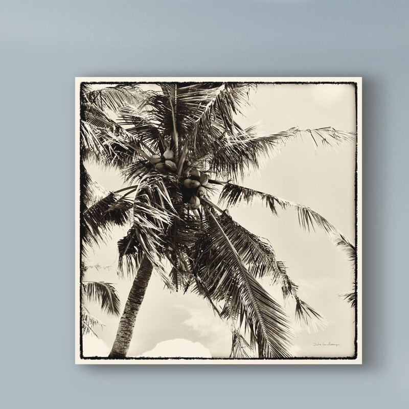 « palm tree sépia ii », reproduction de photo sur toile tendue, H 24 po x l 24 po x P 2 po