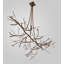 Jaydence 11 - Light Chandelier