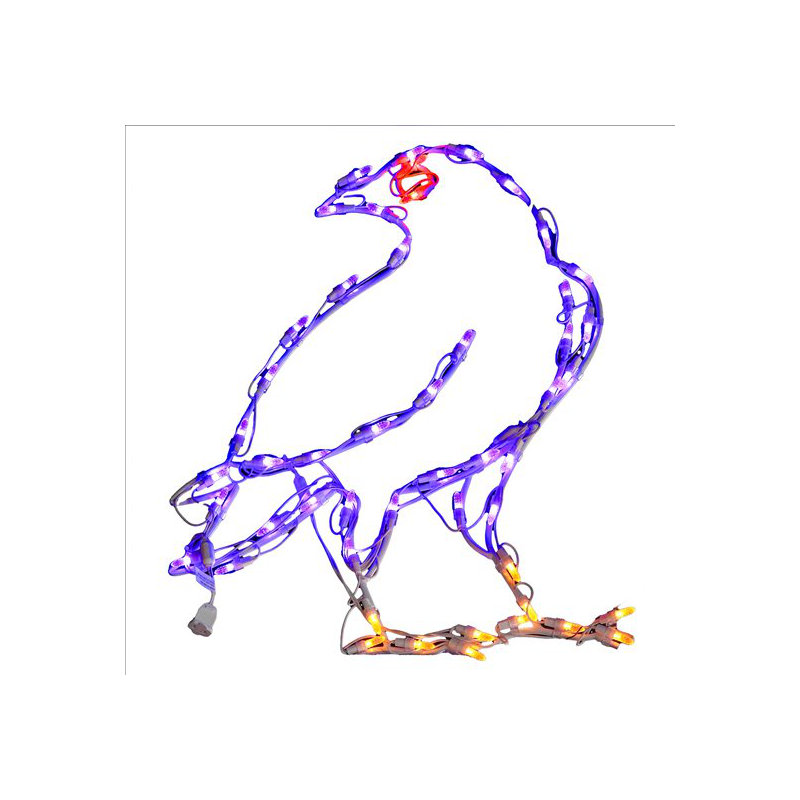 Raven