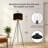 Hughy 59.02'' Matte Traditional Floor Lamp