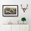 Night Heron by John Audubon - Picture Frame Painting Print on MDF-55577188-55577189