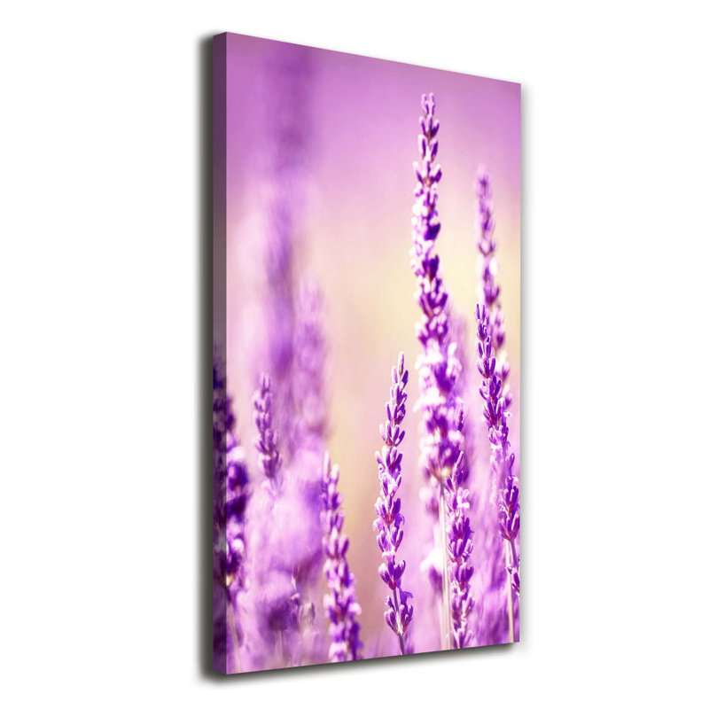 Lavender - Wrapped Canvas Print, 140cm H x 70cm W