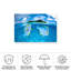 «Bolichon barathieu gabriel dussumiers surgeonfish» par Barathieu gabriel-98095237