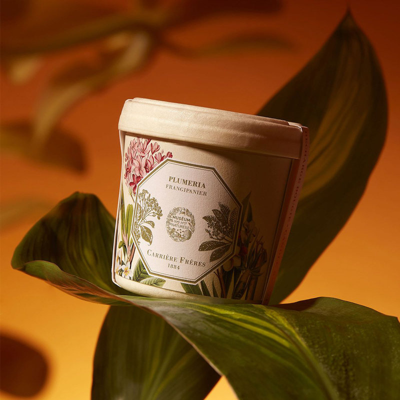 Frangipani Candle