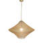 Luminaire suspendu 1 lumière avec abat-jour Aadriti-1327964749