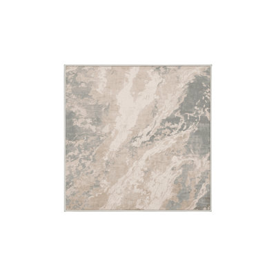 Machine Washable Beige Area Rug