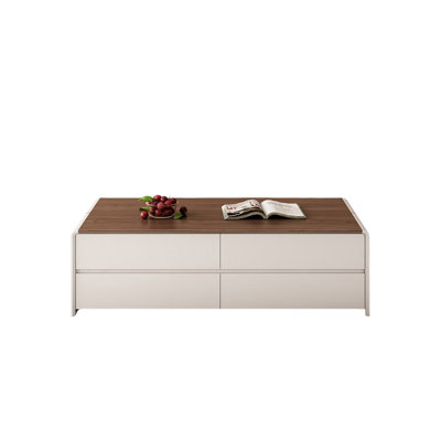 Modern solid wood storage coffee table