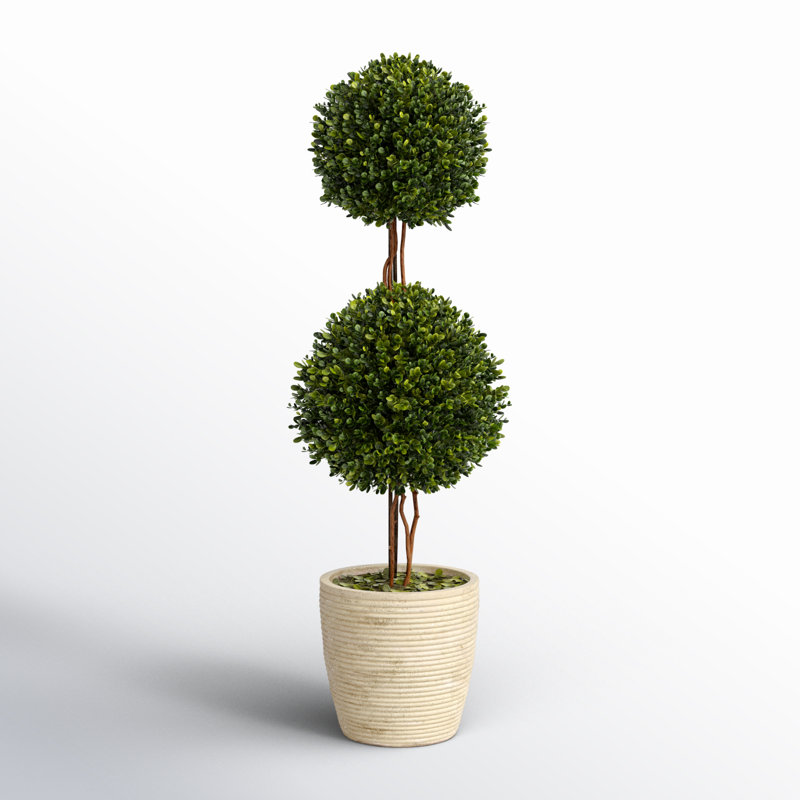 Boxwood Topiary in Ceramic Decorative Vase, 28" H x 8.5" W x 8.5" D
