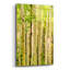 "Spring Aspens" par Mark A Paulda-1086773707
