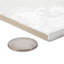 Mayolica 5-7/8 in. x 5-7/8 in. Ceramic Wall Tile