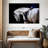 Sireci White Horse And Equestrian-107687574