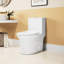 One Ceramic Toilet, White, 1.1/1.6 Flushing, Comfort Height 15.55 In, Soft Close Seat, & White , In Height, And