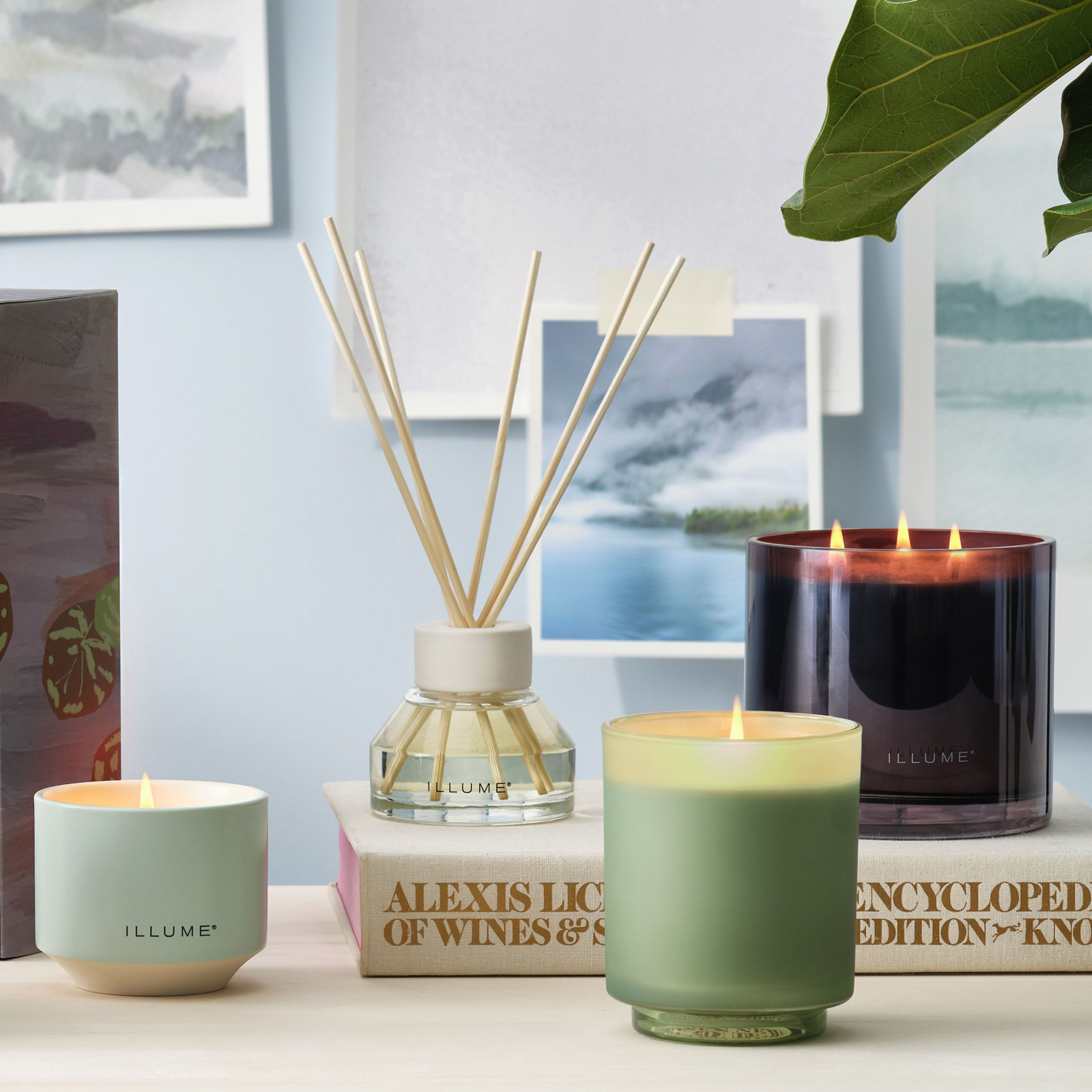 ILLUME Beautifully Done Baltic Glass Candle, Hinoki Sage, Refillable Boxed Glass