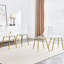 Ensemble de 4 chaises de salle à manger transparentes - Pieds en métal doré, siège confortable, support pour animaux de compagnie, design moderne et élégant, structure simple en plastique, ergonomie