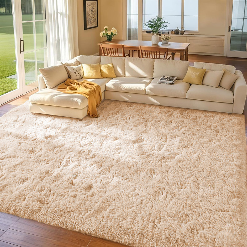 Soft Fluffy Indoor/Outdoor Shaggy Area Rug – Luxurious Comfort & Stylish Design, Rectangle 3" x 5"