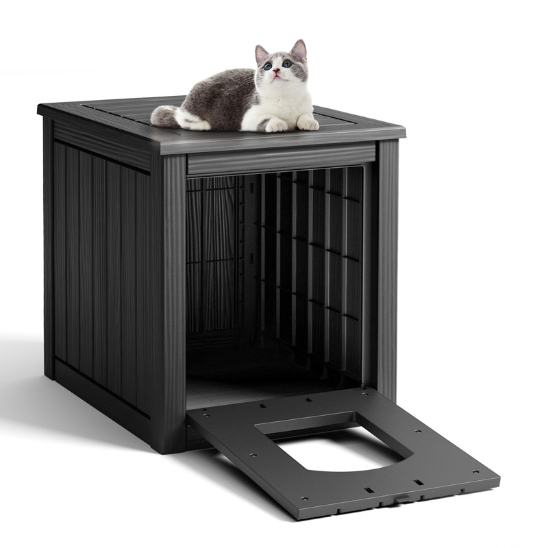 Cat House, Black