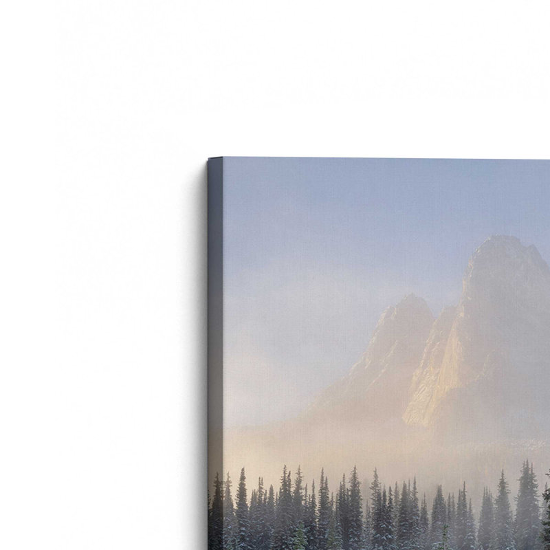 «Winter's Calm Mountain Stream», reproduction sur toile dans un cadre poli, Toile tendue, H 48 po x l 32 po x P 1,25 po