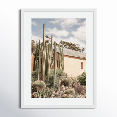 Daisey "Karoo Garden 02" Print