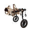 Fauteuil roulant pour chien