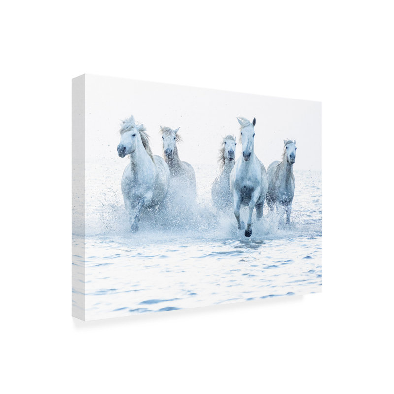 «Horses on the Run» par Marketa Zvelebil Ph.D - impression sur toile tendue, H 14 po x l 19 po x P 2 po