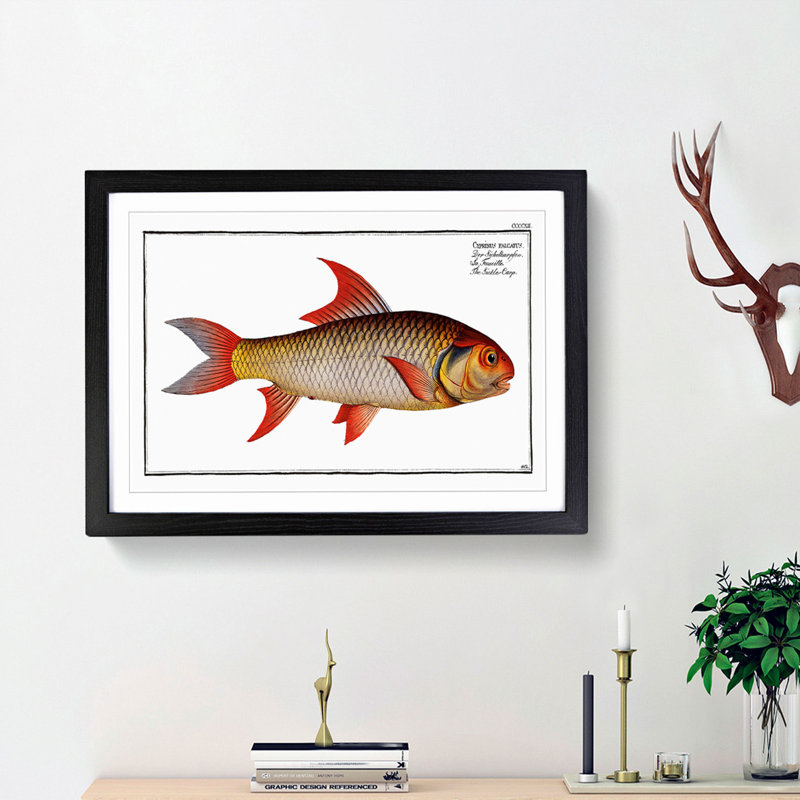 Sickle-Carp Fish by M.E. Bloch - Picture Frame Painting Print, 36cm H x 48cm W x 2cm D, Black Framed