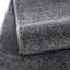 Baer Solid Colour Shag Area Rug-36122641