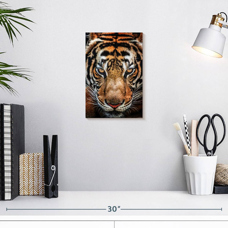 Brampt Siberian Tiger, 12" H x 8" W