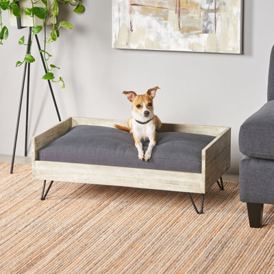 Lit pour chien en bois de style moderne Mid-Century, avec revêtement à l'eau et coussin confortable, lit noir et gris, rembourrage de cadre,