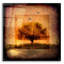 «For the Love of Trees III» par Lightbox Journal, verre acrylique Wal Art-369802220