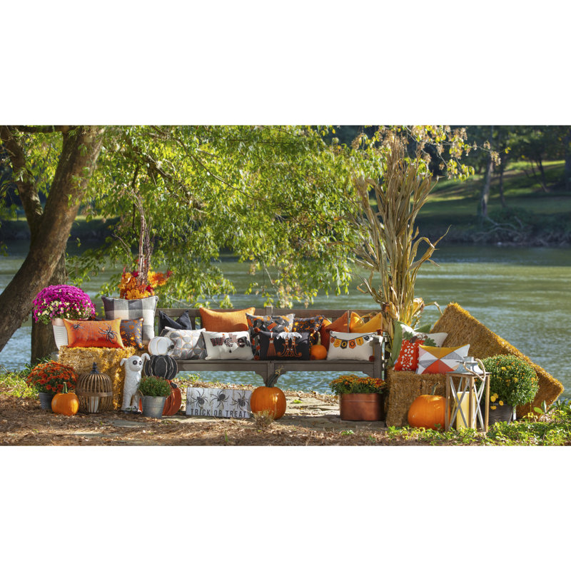  Coussin Boo Banner