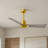Alessandra 42'' Ceiling Fan-1421734447-1421734364