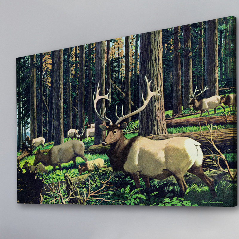 Rustic Elk Herd Canvas Print in Forest Setting, 40" x 60"