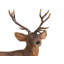 Christmas Figurines & Collectibles