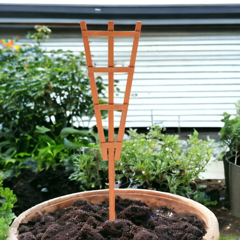 Chasaty Plant Stand