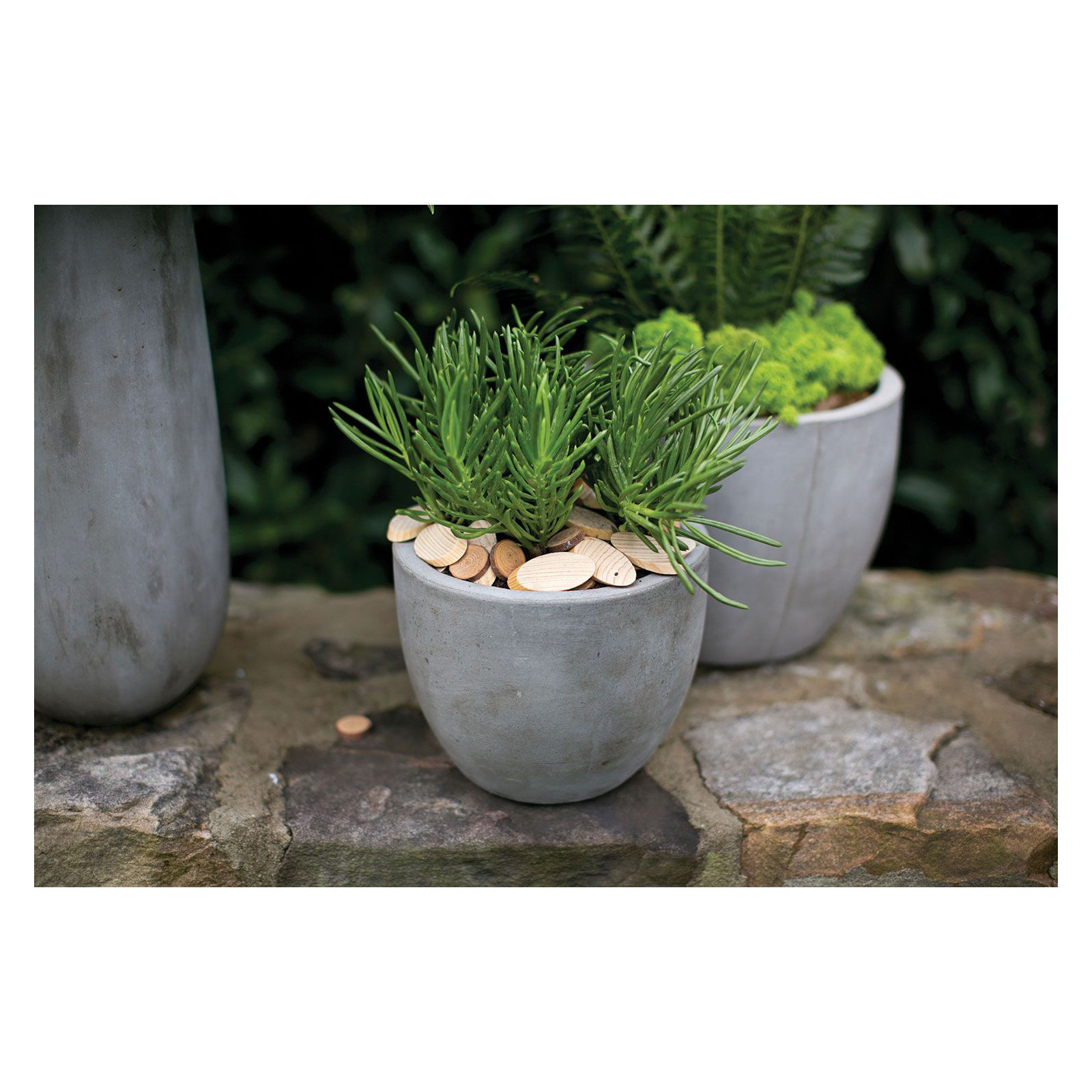 Trixie Pot Planter, 5.5" H x 6.5" W x 6.5" D