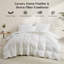 Édredon en duvet de plumes douces et douces toutes saisons Cozy Ultra Soft-1826081006-1795865163