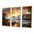 Toile avec cadre flottant or