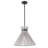 Riya 1 - Light Matte Black Pendant
