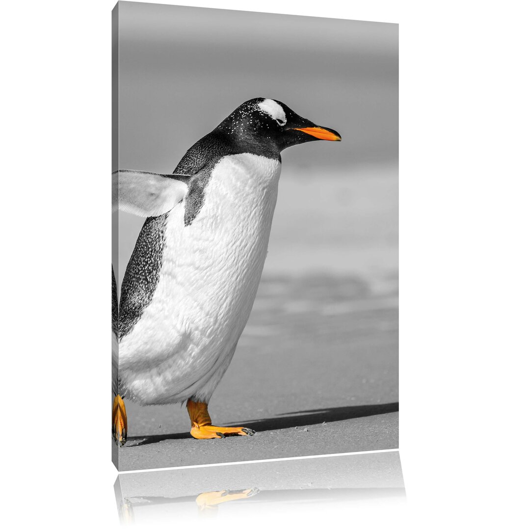 Leinwandbild Watschelnder Pinguin am Strand