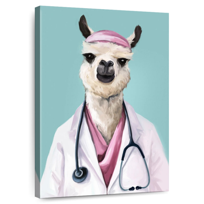 Doctor Llama, H 24 po x l 16 po